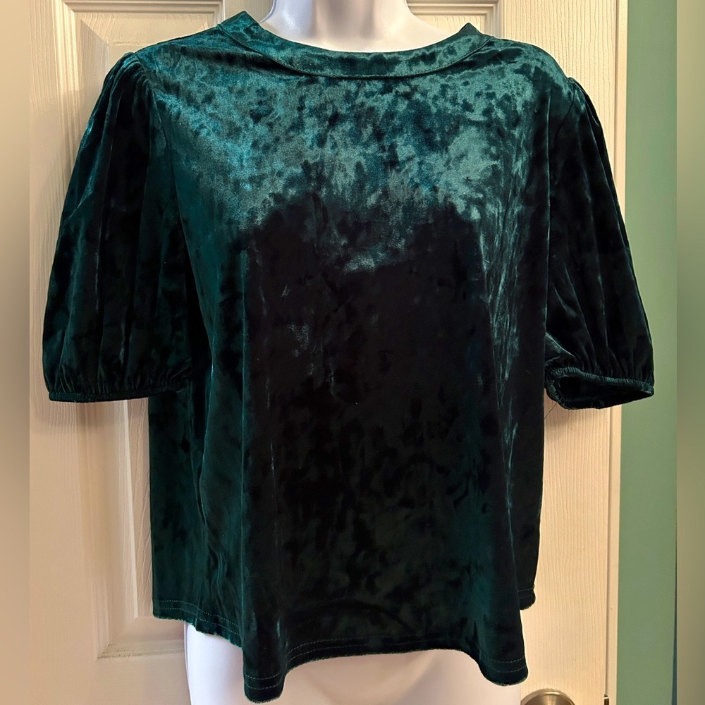 NWT Green velvet shirt